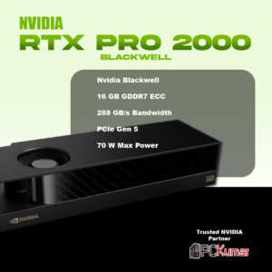 NVIDIA RTX PRO 2000 Blackwell 16GB GDDR7 ECC India