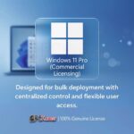 Windows 11 Pro ( Commercial Licensing )