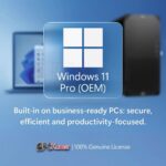 Windows 11 Pro ( OEM )