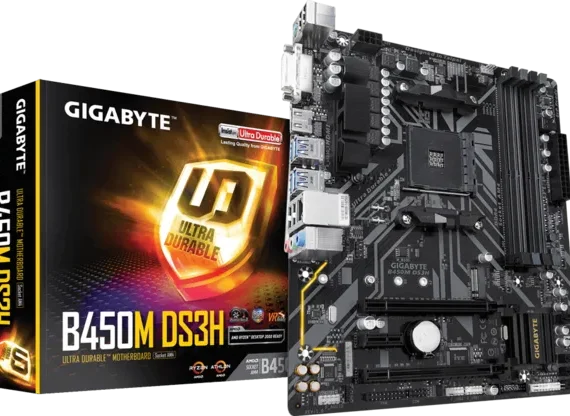 Gigabyte 450M DS3H