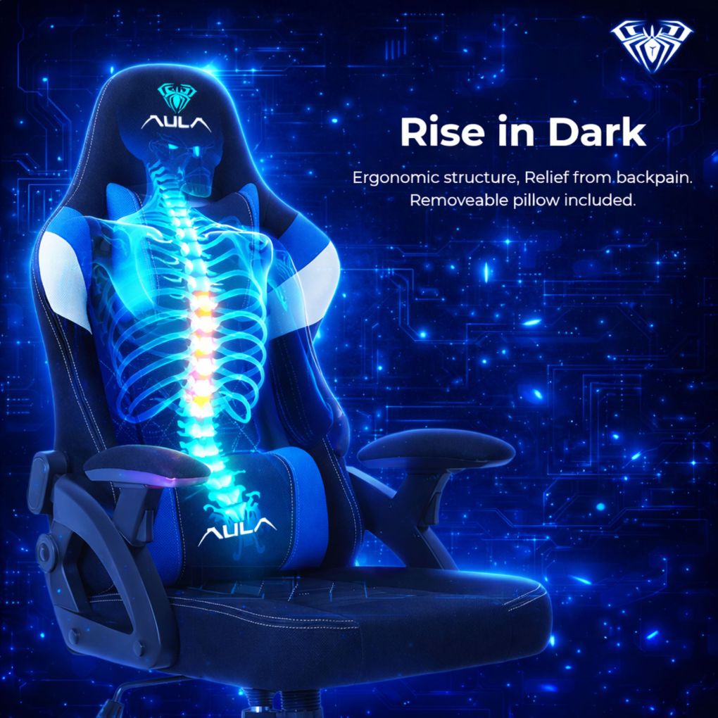 AULA F016 Ergonomic Premium Gaming & Computer Chair