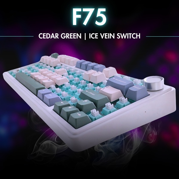 Aula 3in1mechanical KB,-CEDAR GREEN ICE VEIN Switch-F75 CGV